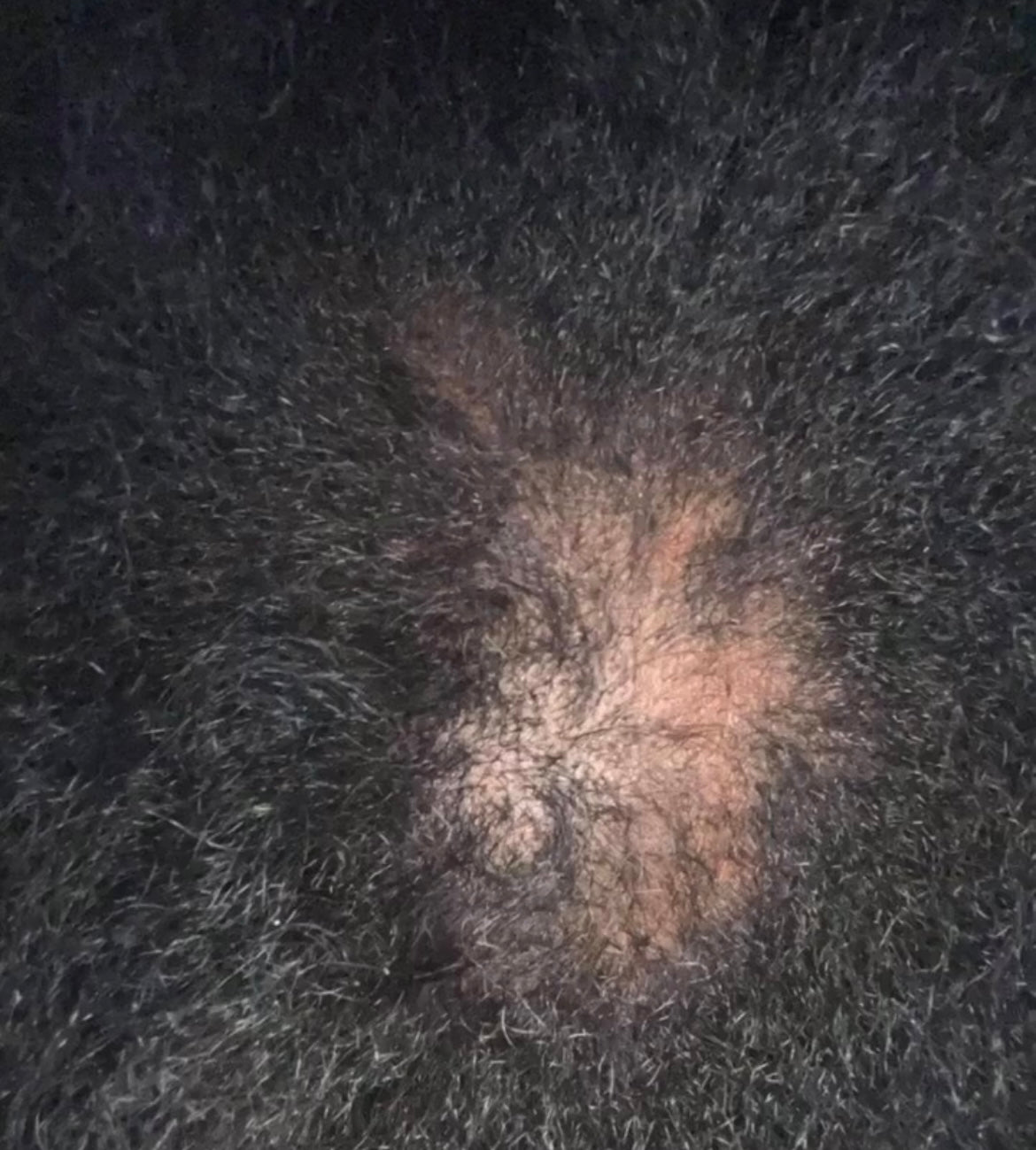 Hairs3crets Wash Day Set