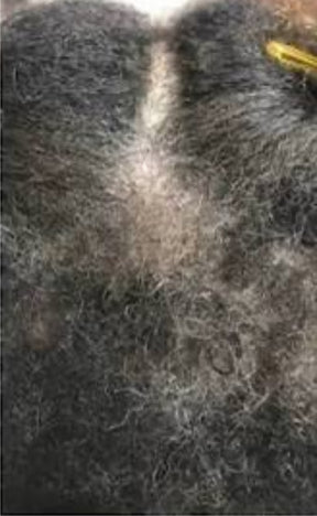 Hairs3crets Wash Day Set