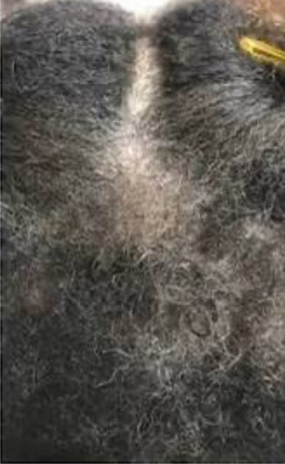 Hairs3crets Wash Day Set